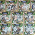 コレクション缶バッジ HEROES ロロノア・ゾロ