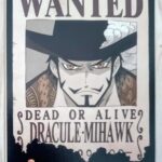 麦わらストアポイントカード特典(ワンピースタワー版)