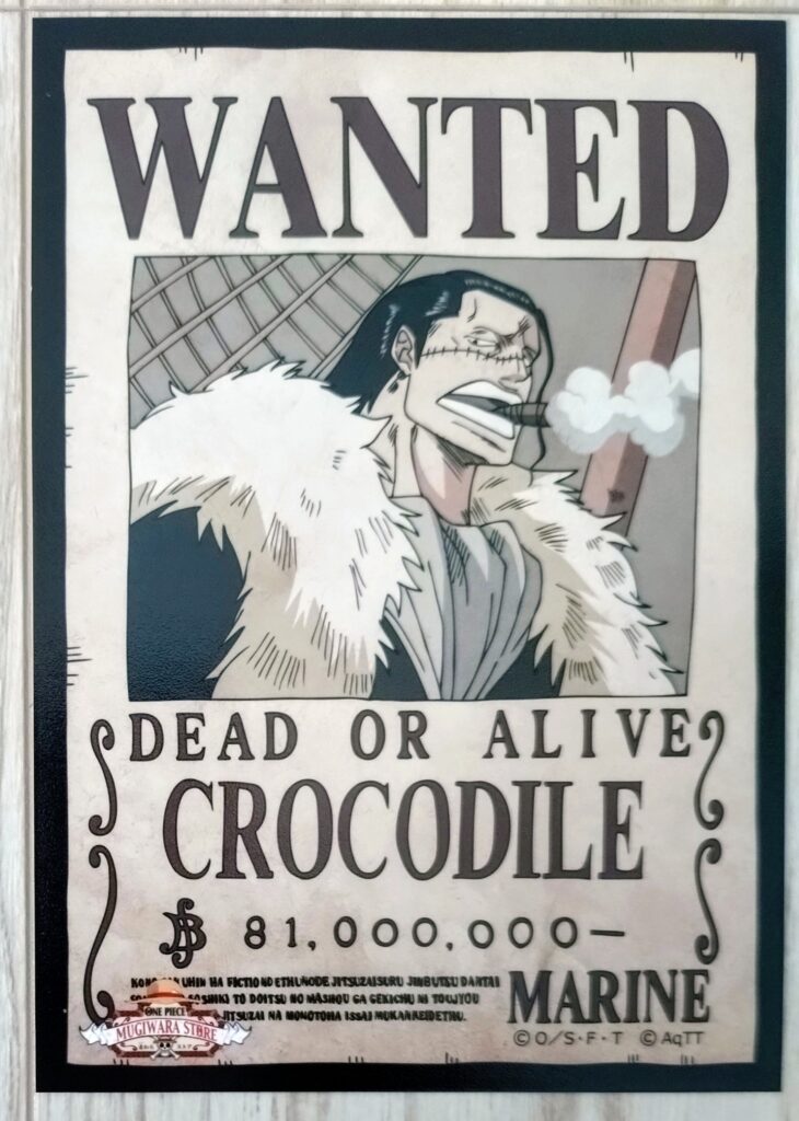 麦わらストアポイントカード特典(ワンピースタワー版)