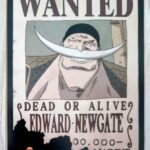 麦わらストアポイントカード特典(ワンピースタワー版)