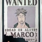 麦わらストアポイントカード特典(ワンピースタワー版)