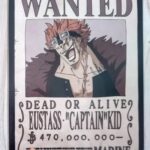 麦わらストアポイントカード特典(ワンピースタワー版)