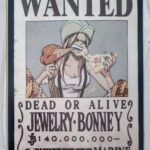 麦わらストアポイントカード特典(ワンピースタワー版)