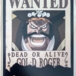 麦わらストアポイントカード特典(ワンピースタワー版)