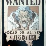 麦わらストアポイントカード特典(ワンピースタワー版)