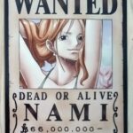 麦わらストアポイントカード特典(ワンピースタワー版)