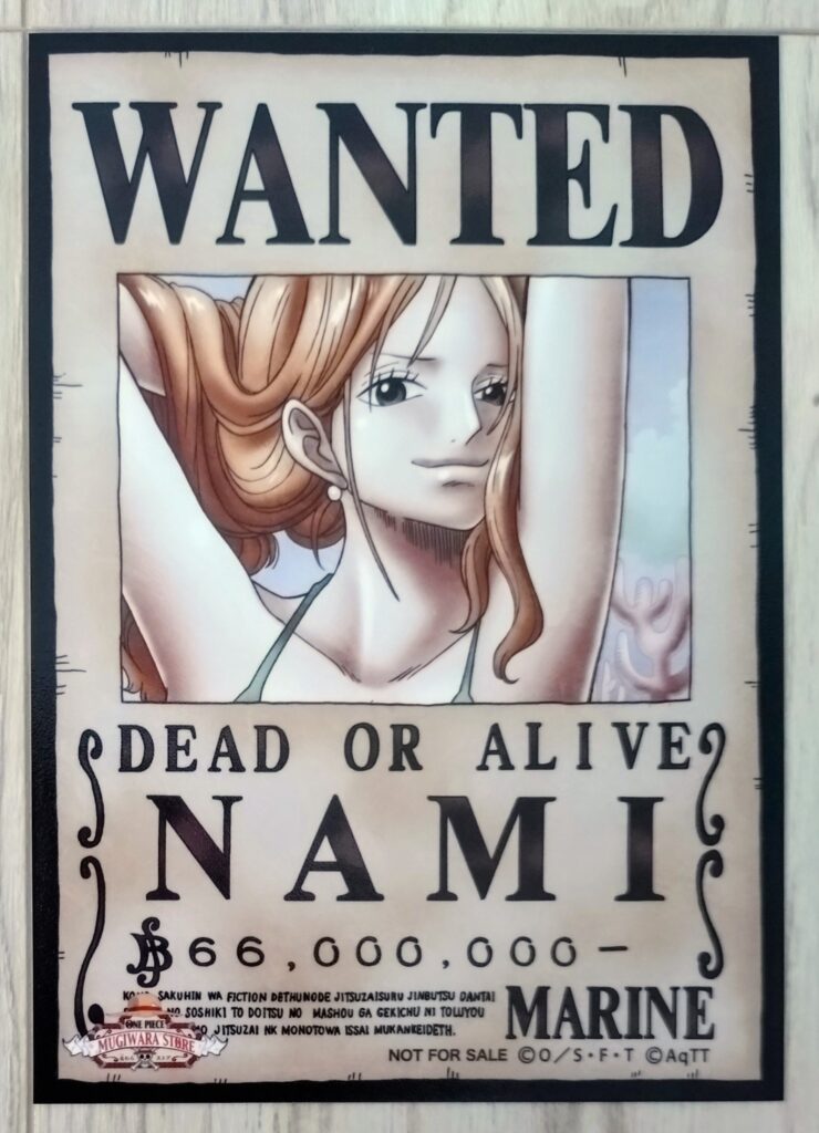 麦わらストアポイントカード特典(ワンピースタワー版)