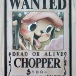 麦わらストアポイントカード特典(ワンピースタワー版)