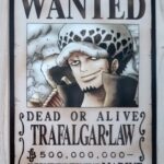 麦わらストアポイントカード特典(ワンピースタワー版)