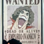 麦わらストアポイントカード特典(ワンピースタワー版)