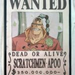 麦わらストアポイントカード特典(ワンピースタワー版)