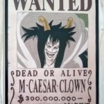 麦わらストアポイントカード特典(ワンピースタワー版)