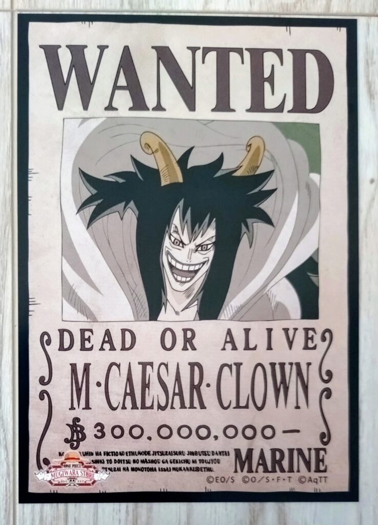 麦わらストアポイントカード特典(ワンピースタワー版)