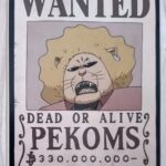 麦わらストアポイントカード特典(ワンピースタワー版)