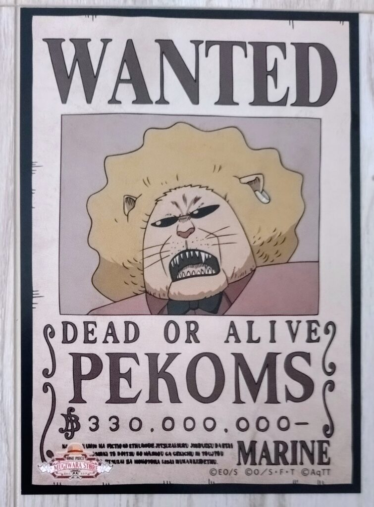 麦わらストアポイントカード特典(ワンピースタワー版)