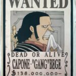 麦わらストアポイントカード特典(ワンピースタワー版)