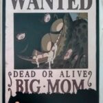 麦わらストアポイントカード特典(ワンピースタワー版)