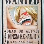 麦わらストアポイントカード特典(ワンピースタワー版)