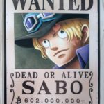 麦わらストアポイントカード特典(ワンピースタワー版)