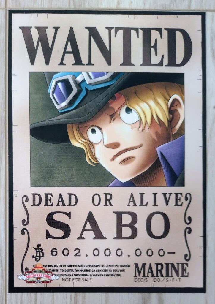 麦わらストアポイントカード特典(ワンピースタワー版)