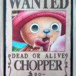 麦わらストアポイントカード特典