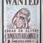 麦わらストアポイントカード特典