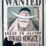 麦わらストアポイントカード特典