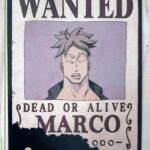 麦わらストアポイントカード特典