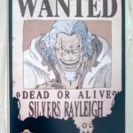 麦わらストアポイントカード特典