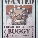 麦わらストアポイントカード特典