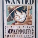 麦わらストアポイントカード特典