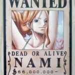 麦わらストアポイントカード特典