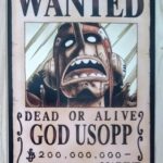 麦わらストアポイントカード特典