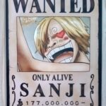 麦わらストアポイントカード特典