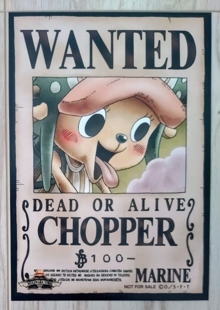 麦わらストアポイントカード特典