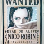 麦わらストアポイントカード特典