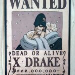 麦わらストアポイントカード特典