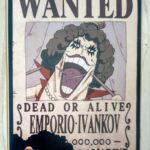 麦わらストアポイントカード特典