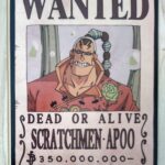 麦わらストアポイントカード特典