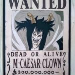 麦わらストアポイントカード特典