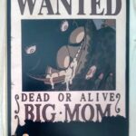 麦わらストアポイントカード特典