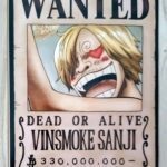 麦わらストアポイントカード特典