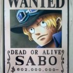 麦わらストアポイントカード特典