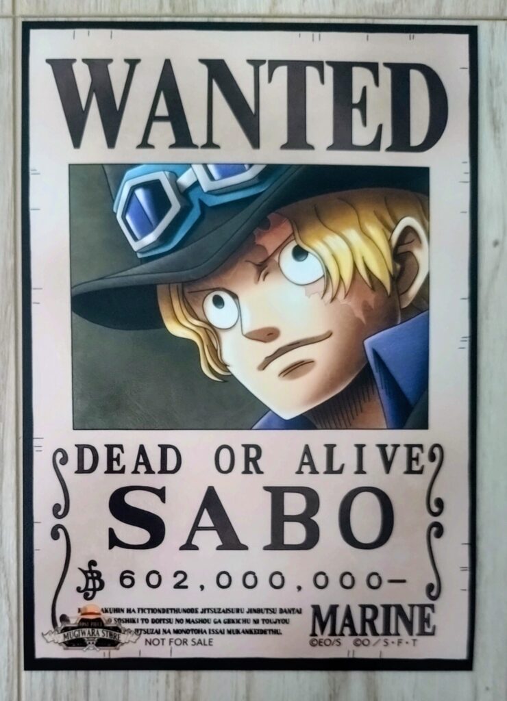 麦わらストアポイントカード特典