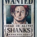 麦わらストアポイントカード特典