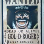 麦わらストアポイントカード特典