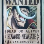 麦わらストアポイントカード特典