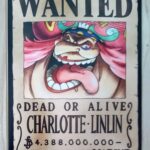 麦わらストアポイントカード特典