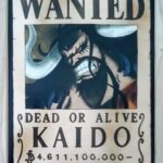 麦わらストアポイントカード特典