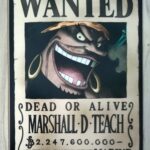 麦わらストアポイントカード特典